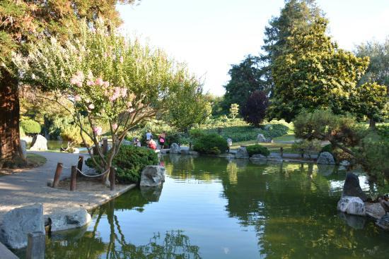 Japanese Friendship Garden